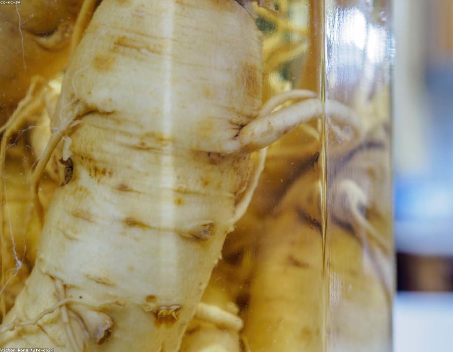 Energía y vitalidad