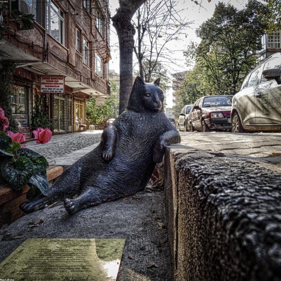 Vitaminas Naturales Energía